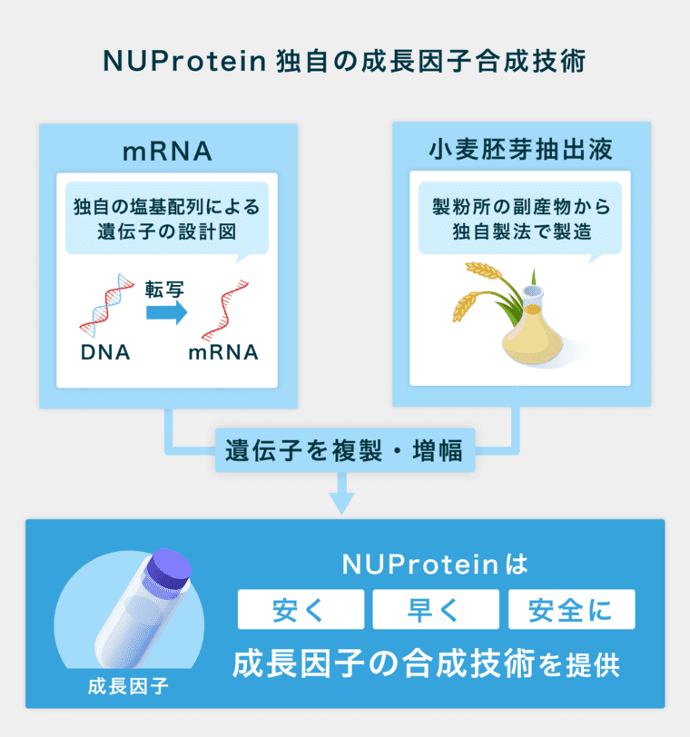 nuproteinの特徴画像