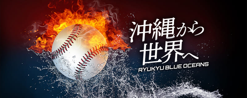 株式会社BASE沖縄野球球団のイメージ画像
